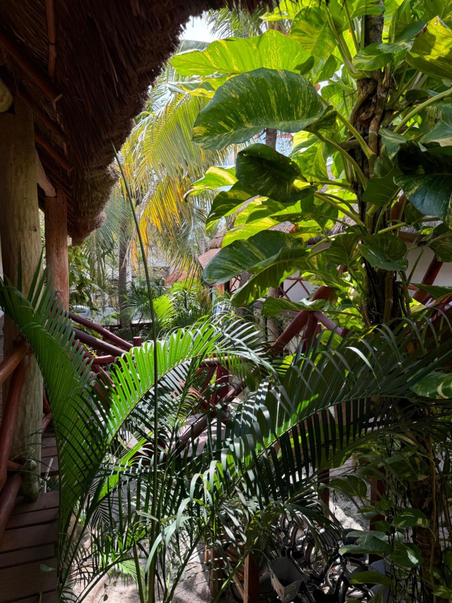 Kin Ha Tulum Hotel Exterior foto