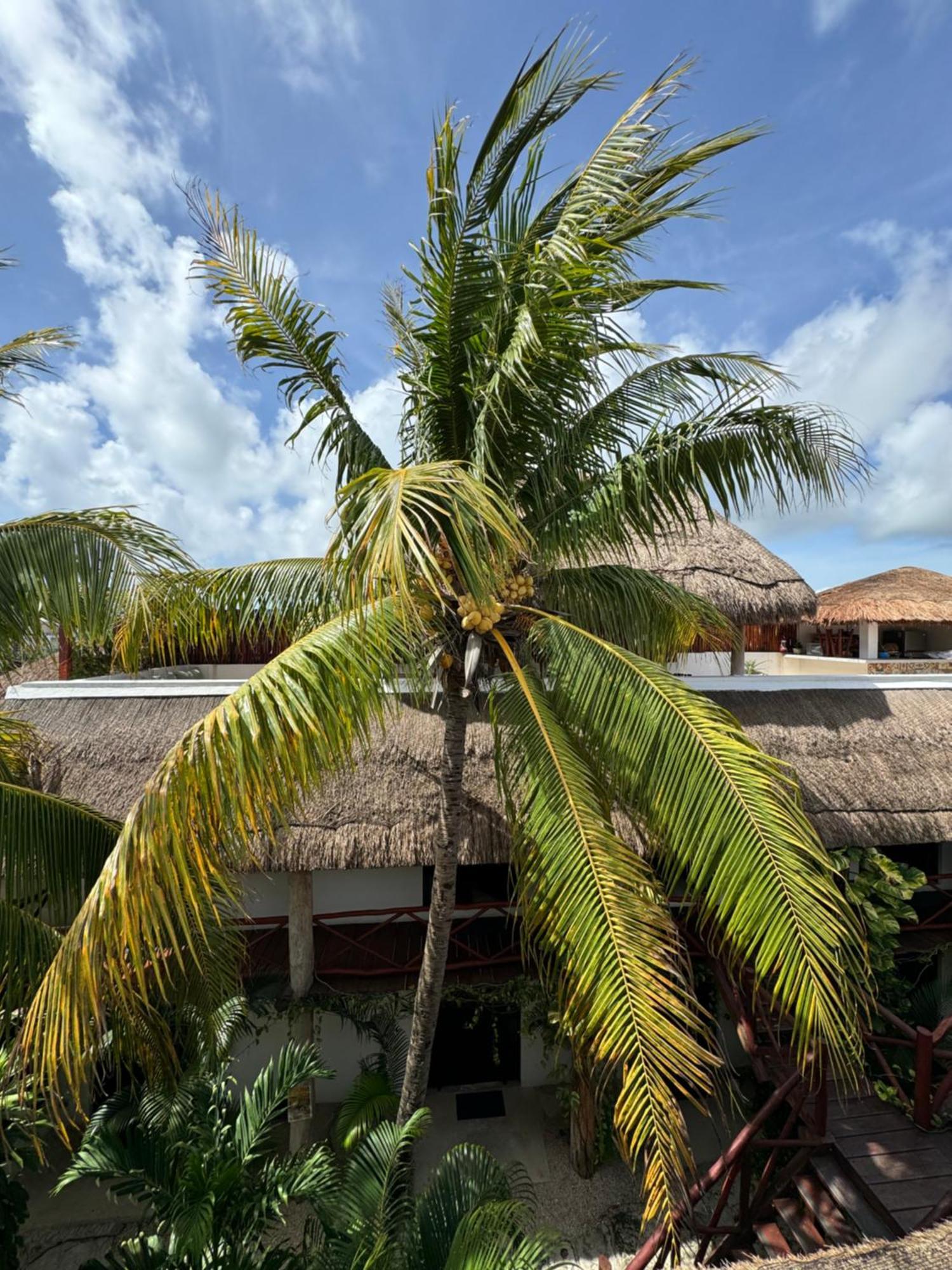 Kin Ha Tulum Hotel Exterior foto